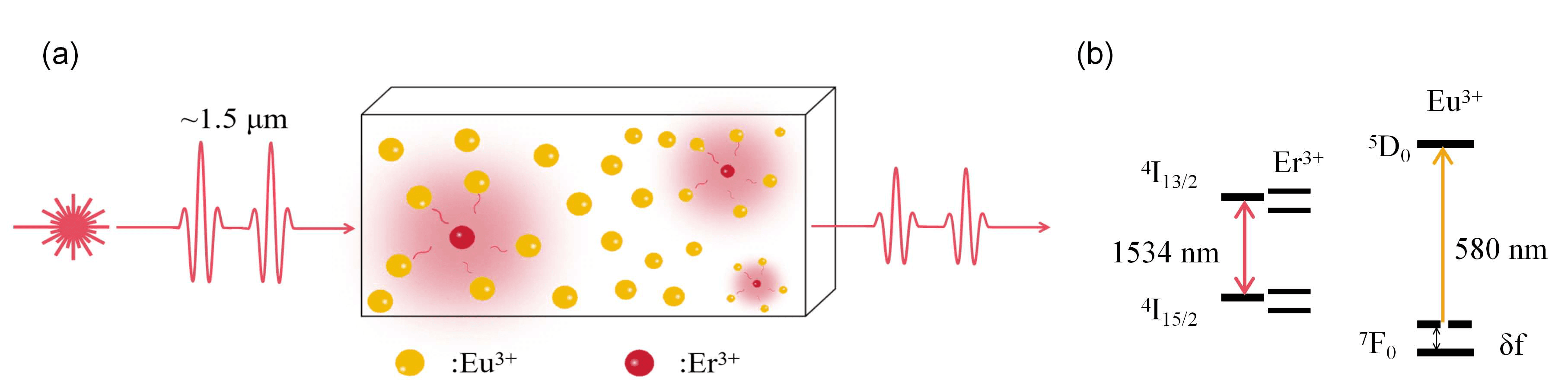 Towards telecom-compatible quantum nodes using erbium-doped stoichiometric EuCl3 hydrate crystals